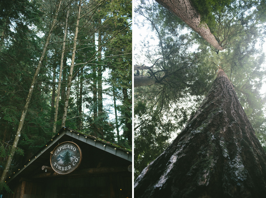 capilano_suspension_bridge_wedding11