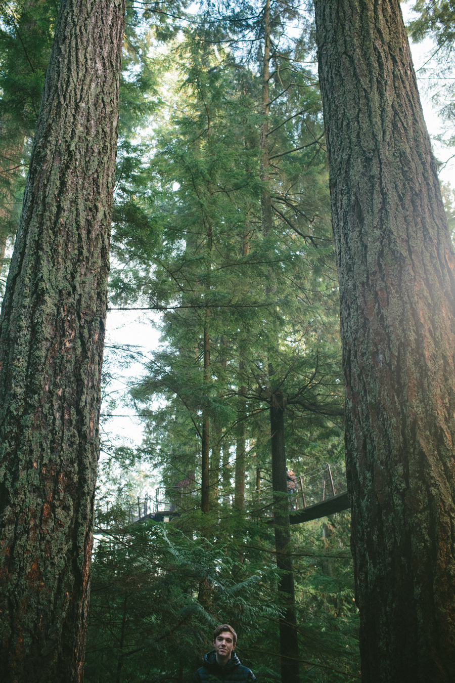 capilano_suspension_bridge_wedding12