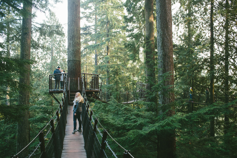 capilano_suspension_bridge_wedding13
