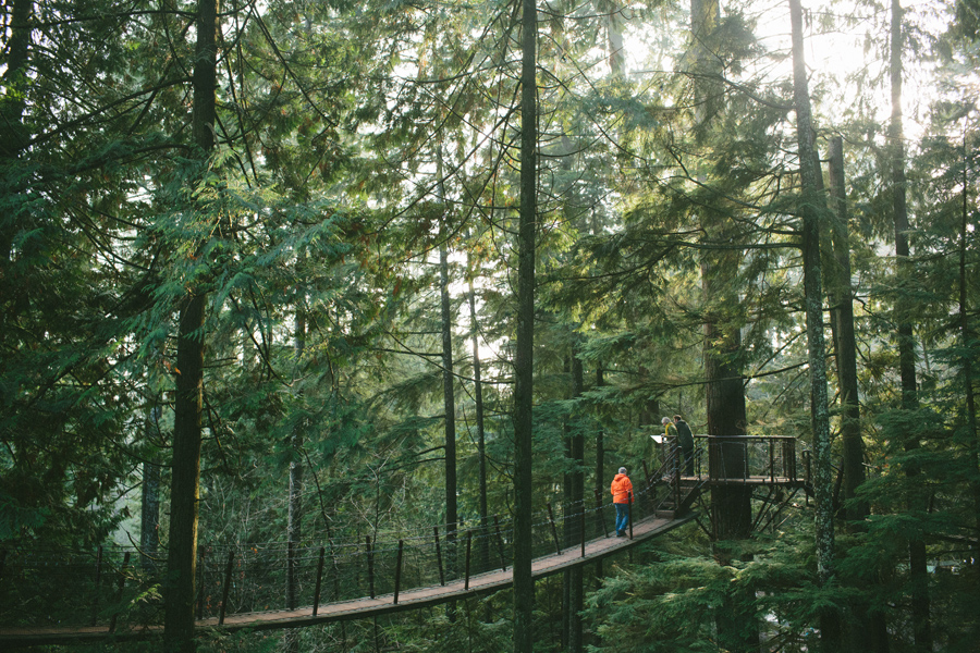 capilano_suspension_bridge_wedding14