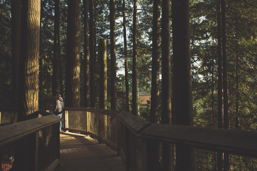 capilano_suspension_bridge_wedding15