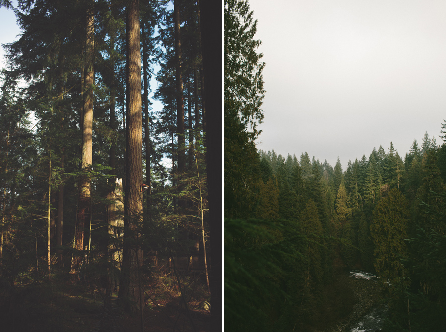 capilano_suspension_bridge_wedding16