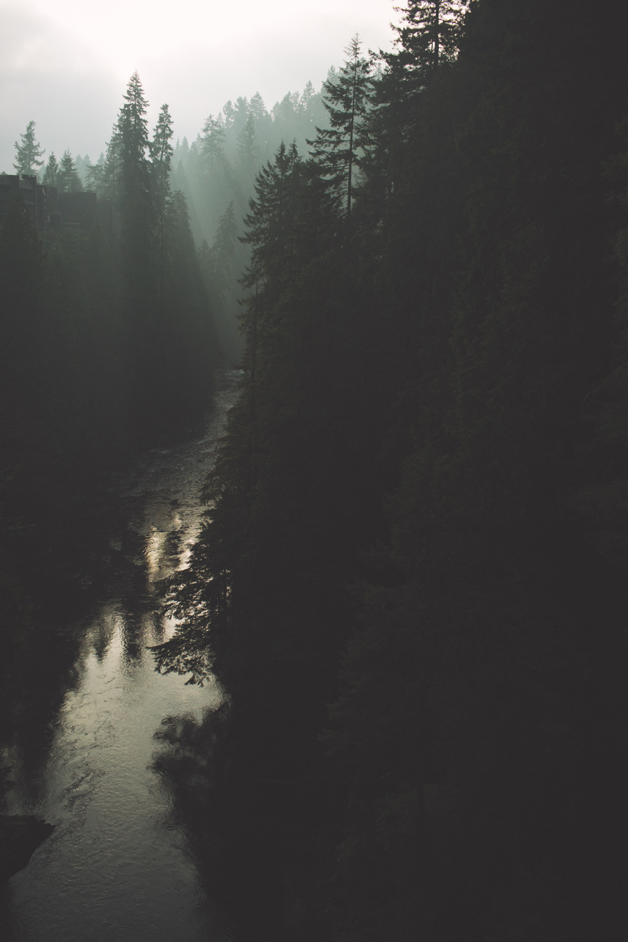 capilano_suspension_bridge_wedding18
