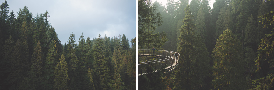capilano_suspension_bridge_wedding20