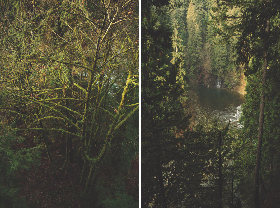capilano_suspension_bridge_wedding21