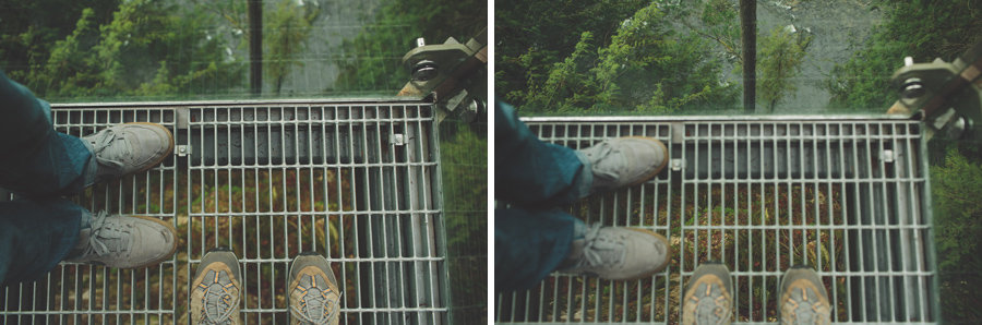 capilano_suspension_bridge_wedding22