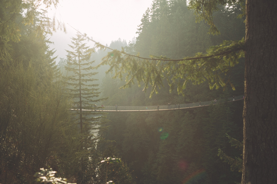 capilano_suspension_bridge_wedding23