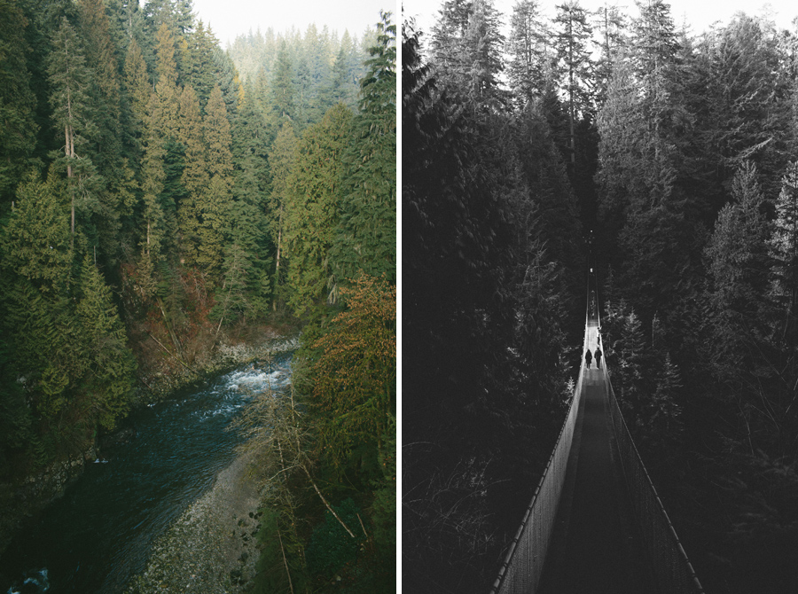 capilano_suspension_bridge_wedding8