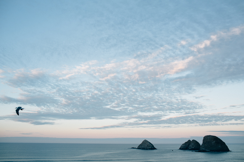 Oregon Coast Wedding Photographer-3