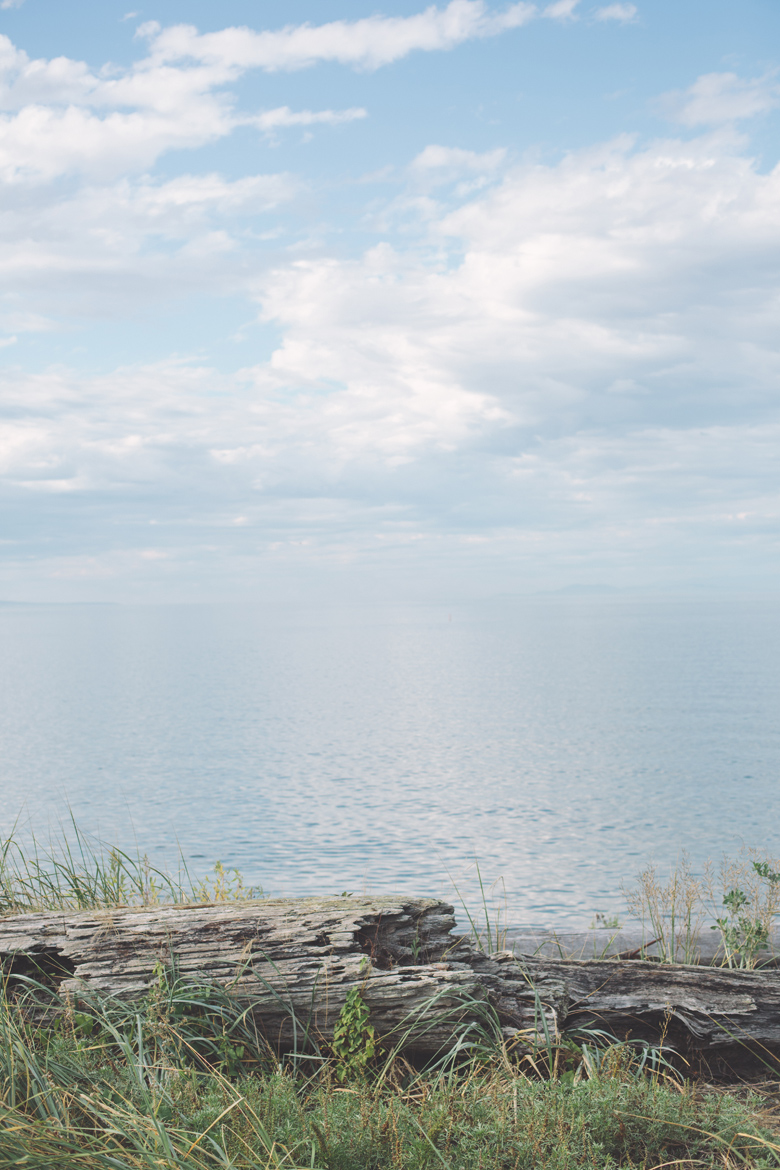 artistic_vancouver_island_wedding_photographer021