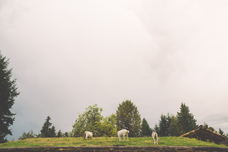 artistic_vancouver_island_wedding_photographer063