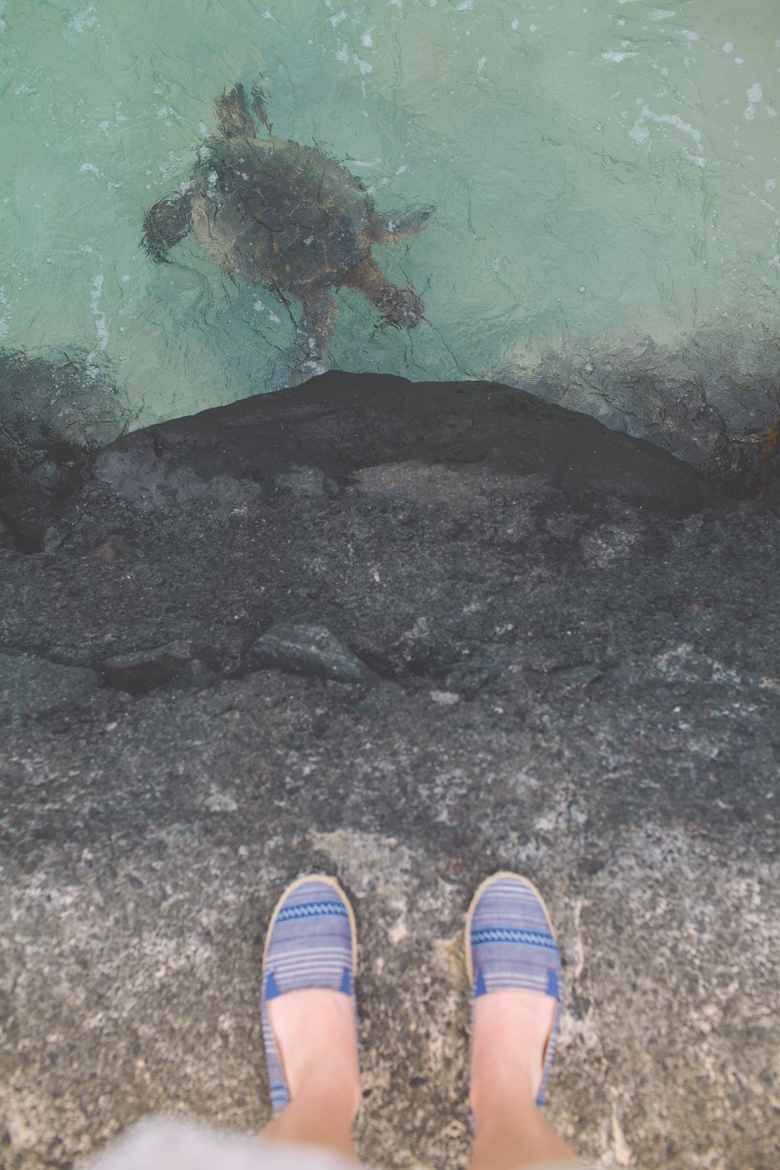 creative_wedding_photographer_hawaii049