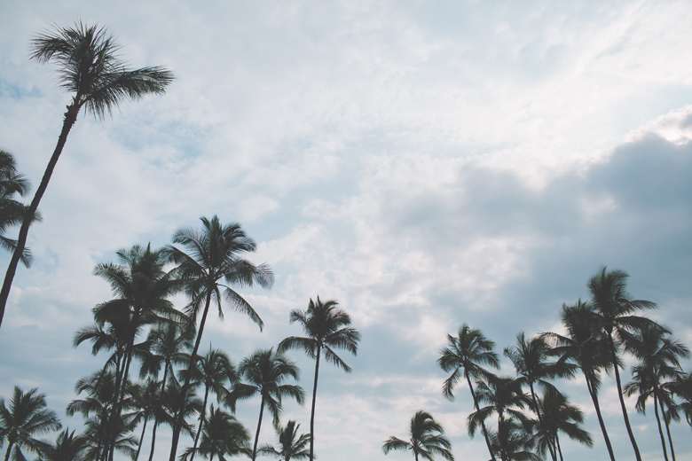 creative_wedding_photographer_hawaii052