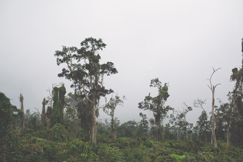 creative_wedding_photographer_hawaii056