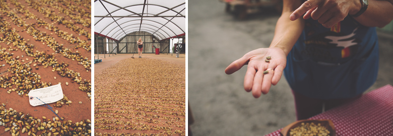 creative_wedding_photographer_hawaii057