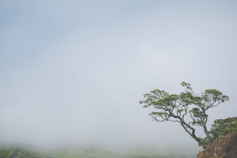 creative_wedding_photographer_hawaii082
