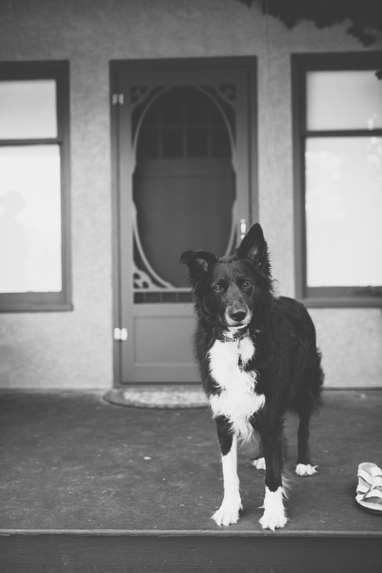 God's Mountain Estate Wedding-0005