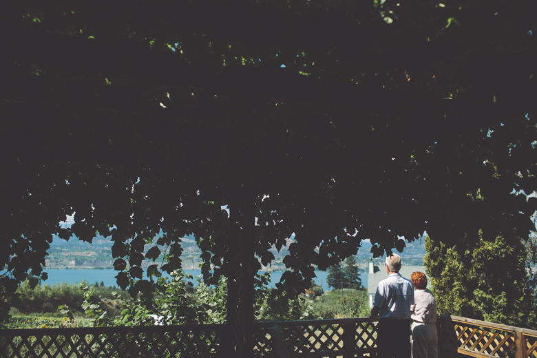 God's Mountain Estate Wedding-0006