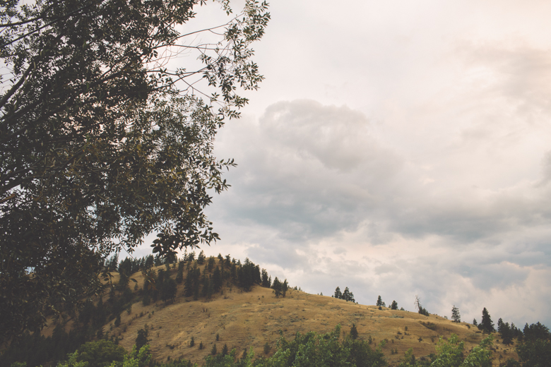 Penticton Okanagan Naramata Vernon Wedding Photographer-0038