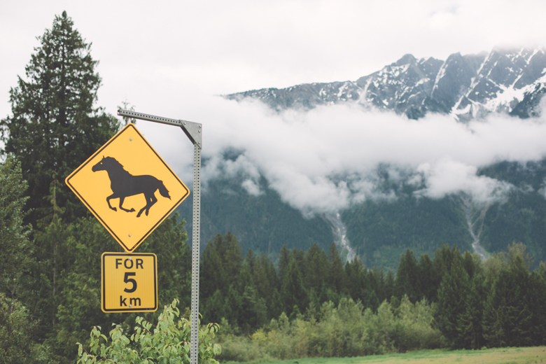 North Arm Farm Wedding-3